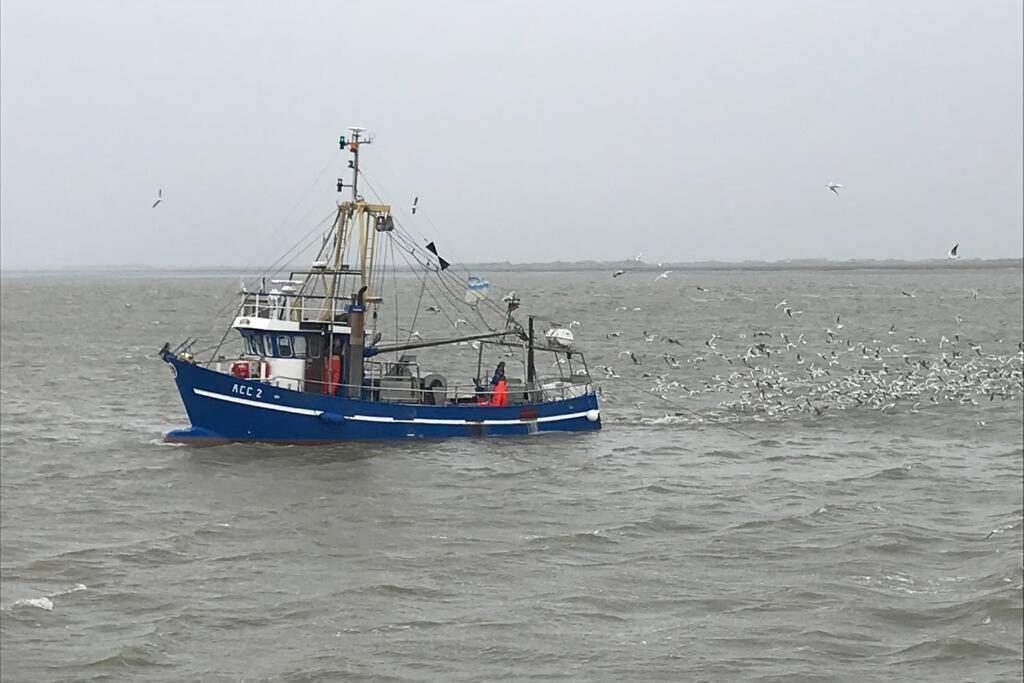 Nordsee Ferienwohnung Fuer 2 Personen Schillig Ngoại thất bức ảnh